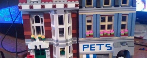 Lego 10218 Pet Shop Review