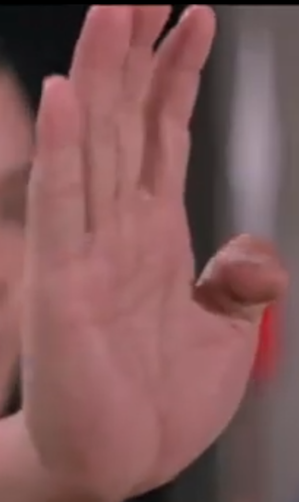 Iron Palm