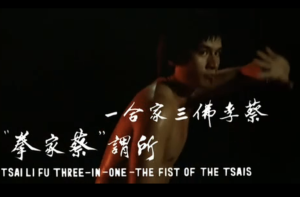 Fu Sheng Demonstrates Choy Lee Fut