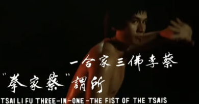 Fu Sheng Demonstrates Choy Lee Fut