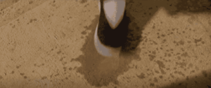 Wet stain by jabronie
